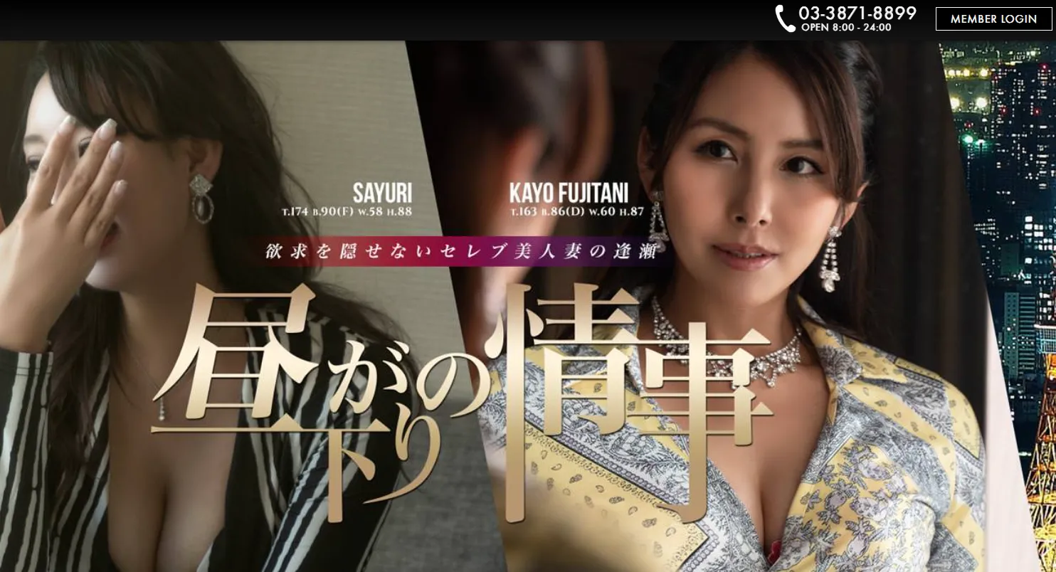 Rothenburg website view